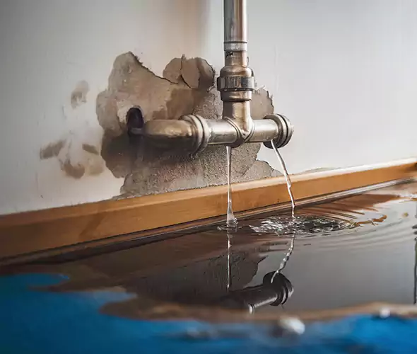 Professional Water Damage Restoration Experts in Pompano Beach, FL — Fast, Reliable & Certified